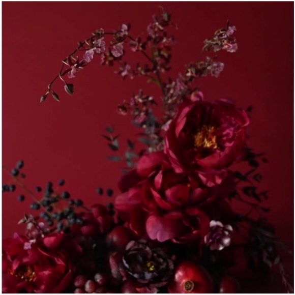 LUNYA x ROSANDICH BNWT Washable Silk Tee Short Set in Rouge Reverie Size XS - Picture 8 of 8